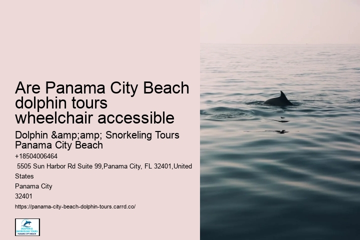 Are Panama City Beach dolphin tours wheelchair accessible