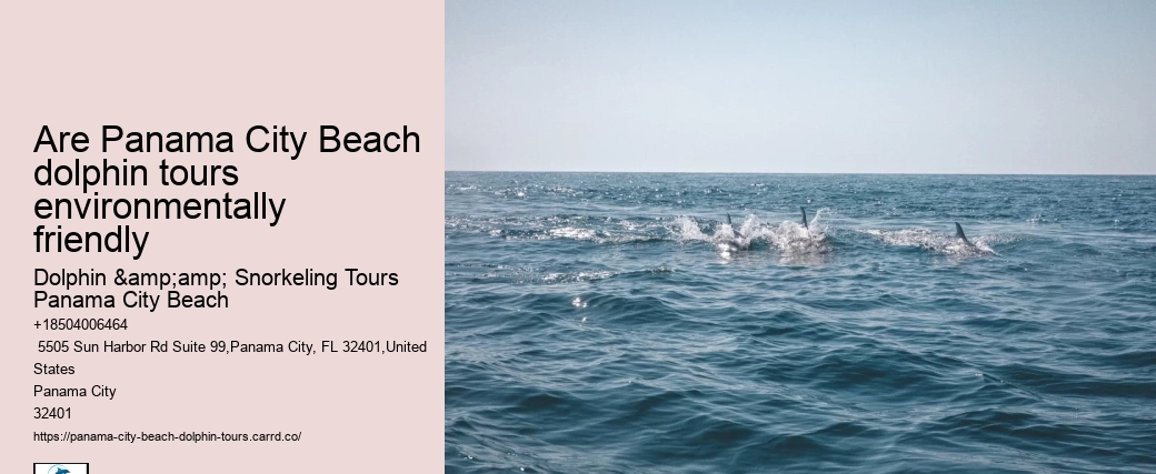 Are Panama City Beach dolphin tours environmentally friendly
