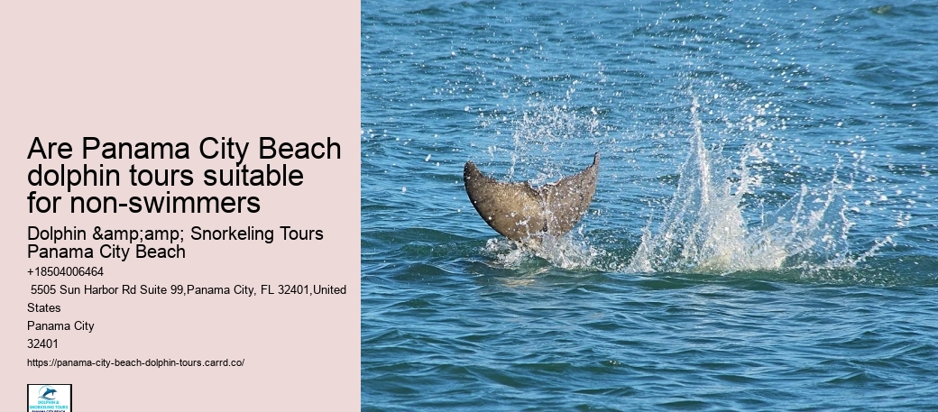Are Panama City Beach dolphin tours suitable for non-swimmers