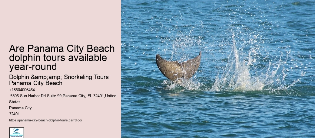 Are Panama City Beach dolphin tours available year-round