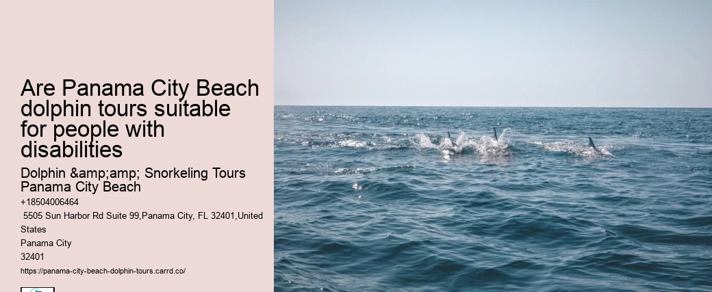 Are Panama City Beach dolphin tours suitable for people with disabilities