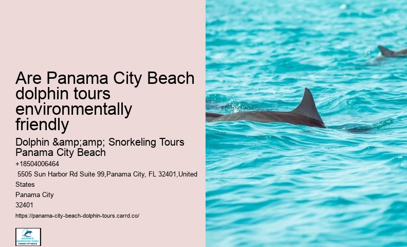 Panama City Beach dolphin watching trips
