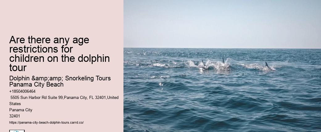 Are there any age restrictions for children on the dolphin tour