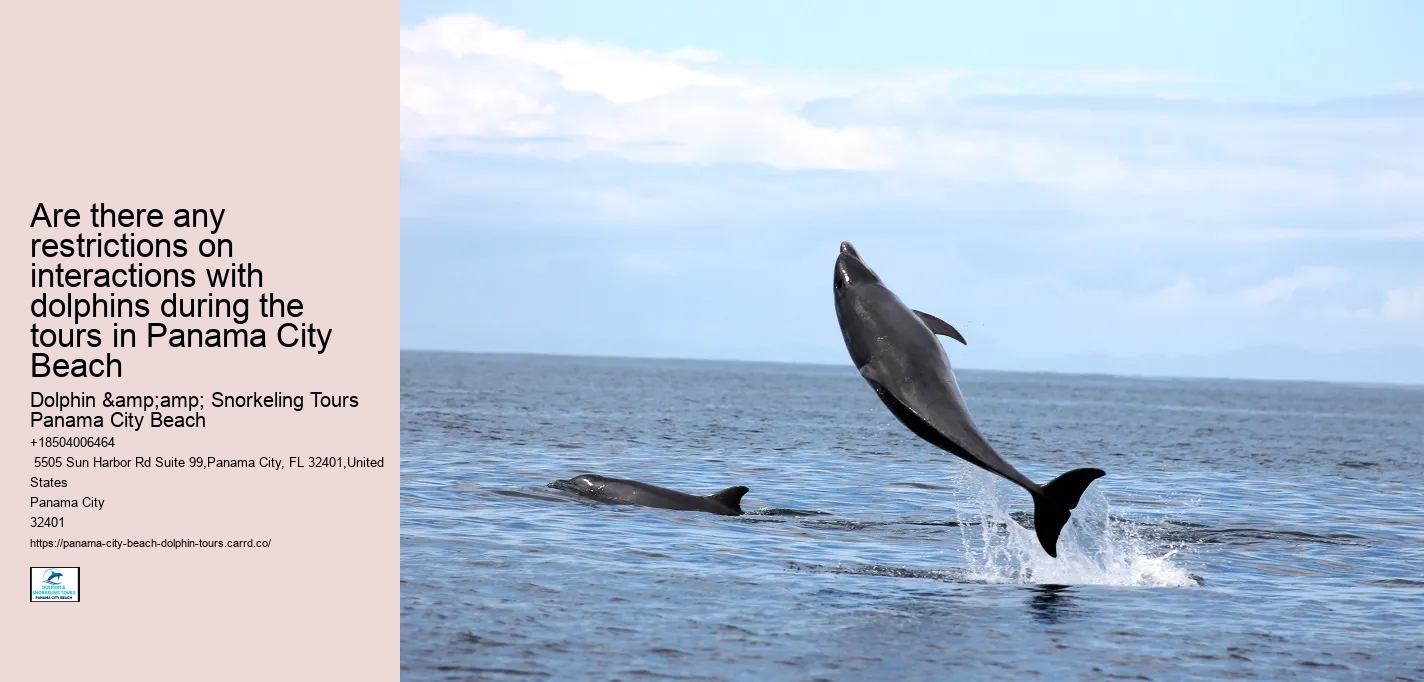 Are there any restrictions on interactions with dolphins during the tours in Panama City Beach