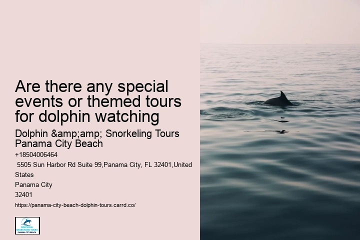 Are there any special events or themed tours for dolphin watching