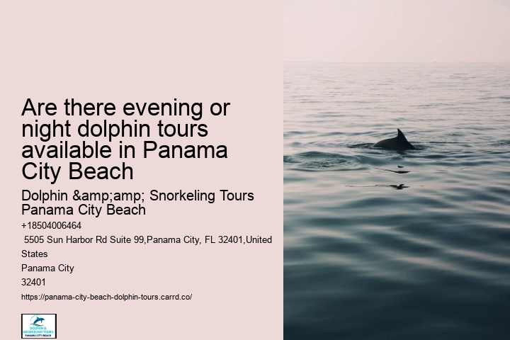 Panama City Beach Dolphin