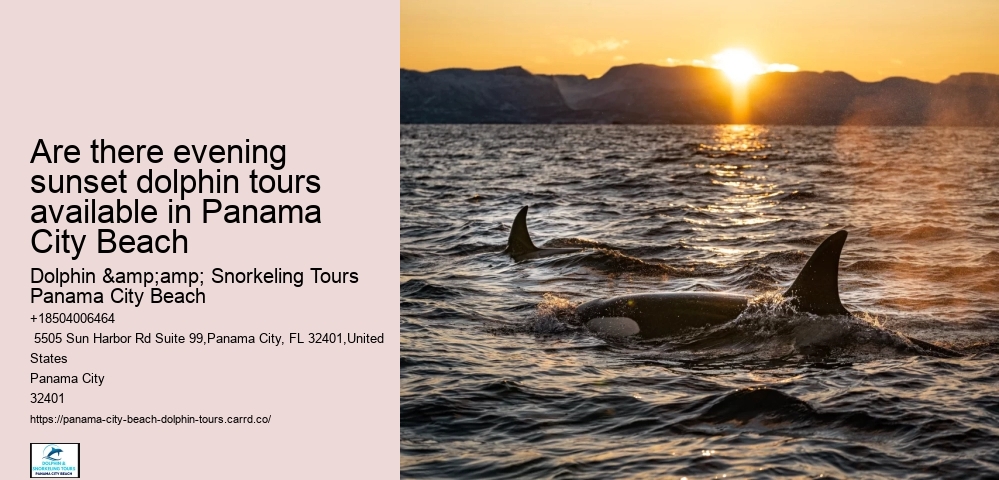 Are there evening sunset dolphin tours available in Panama City Beach