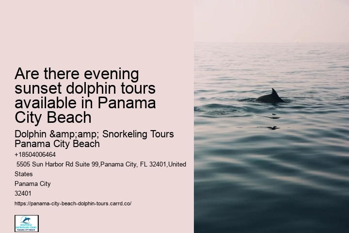 Best Panama City Beach Dolphin Tours