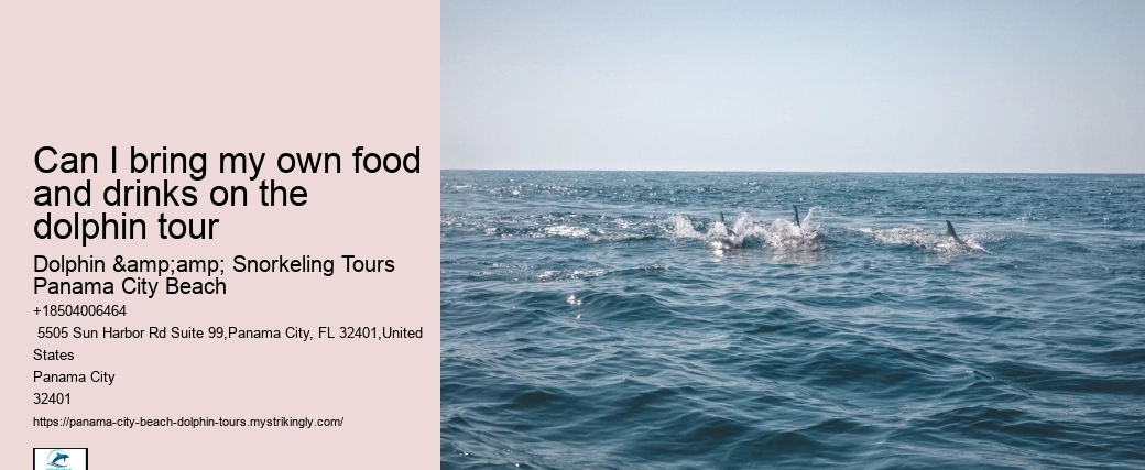 Blue Dolphin Tours Panama City Beach Fl