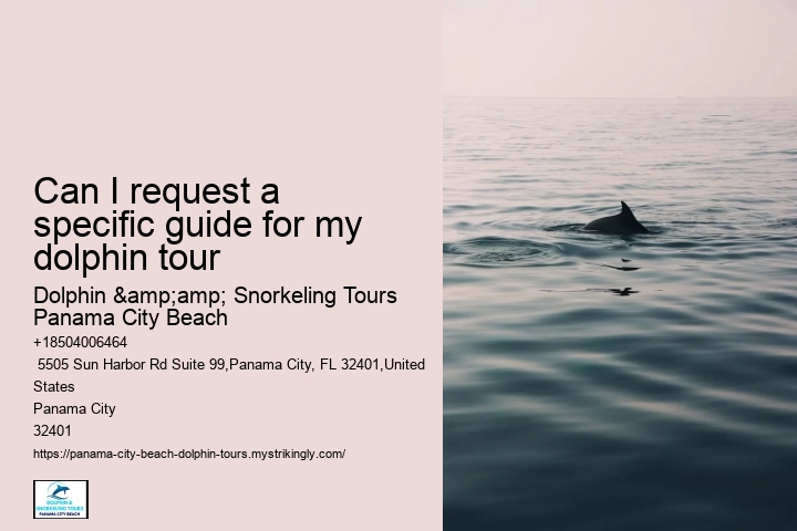 Sunset Dolphin Tours Panama City Beach