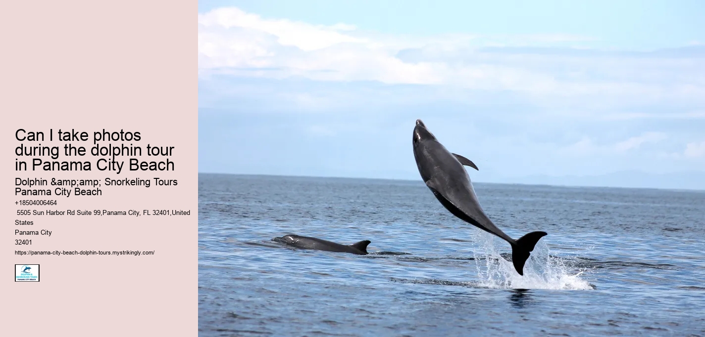 Can I take photos during the dolphin tour in Panama City Beach