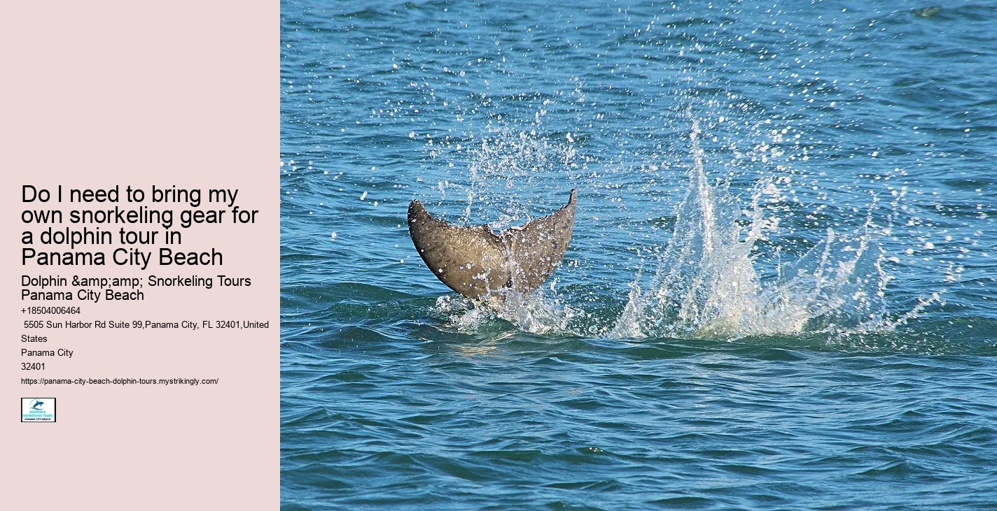 How Much Does It Cost To Swim With The Dolphins At Panama City Beach