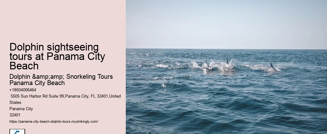 Dolphin sightseeing tours at Panama City Beach