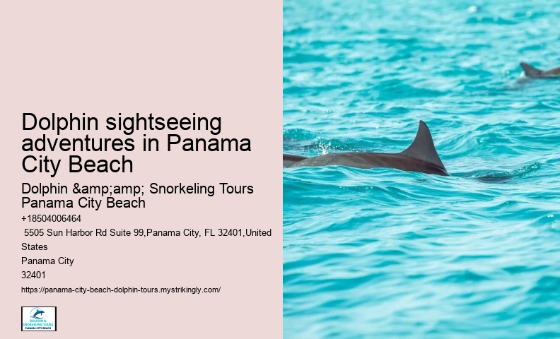 Are Panama City Beach dolphin tours educational
