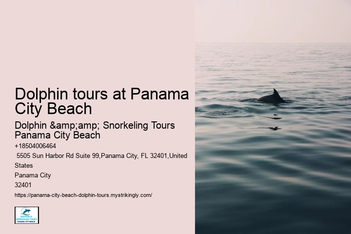 Dolphin tours at Panama City Beach
