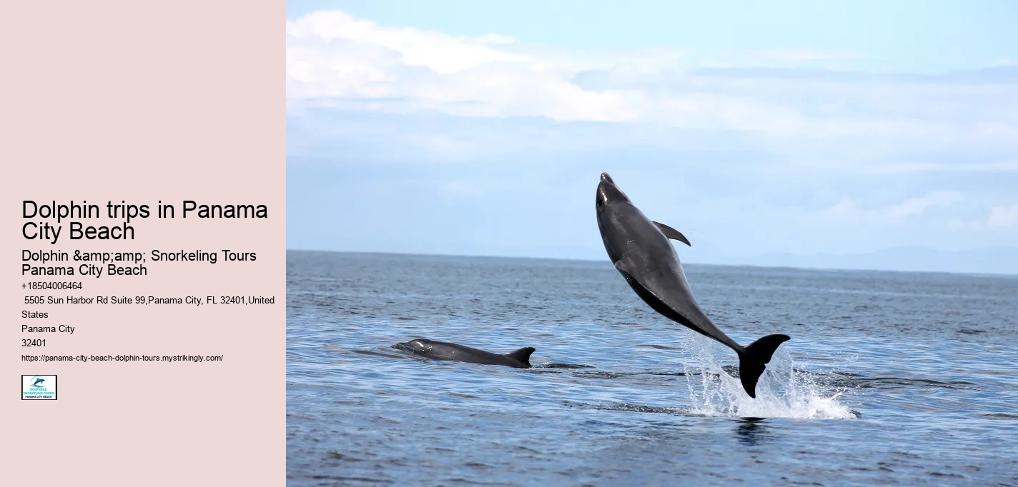 Are food and drinks provided on dolphin tours in Panama City Beach