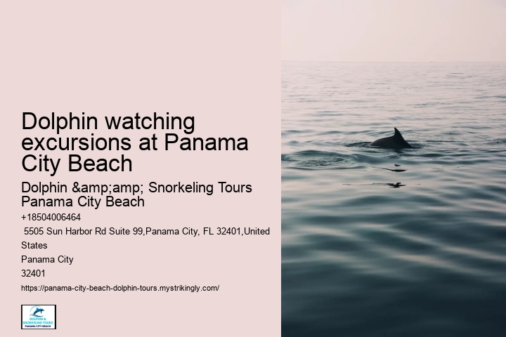 Dolphin watching excursions at Panama City Beach