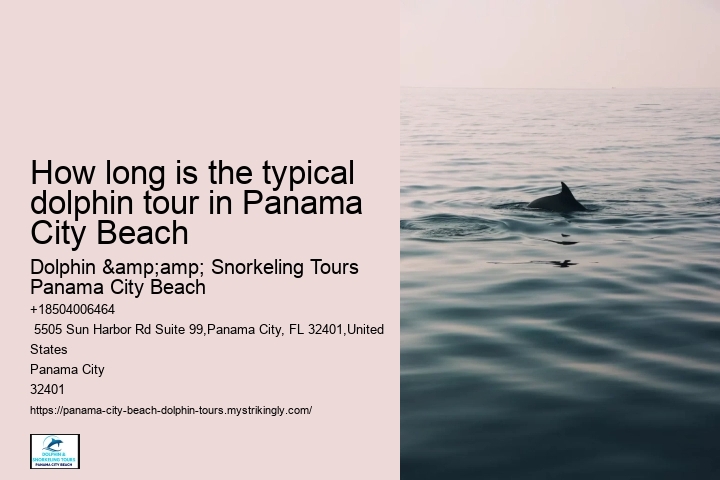 How Deep Is The Water When You Swim With Dolphins