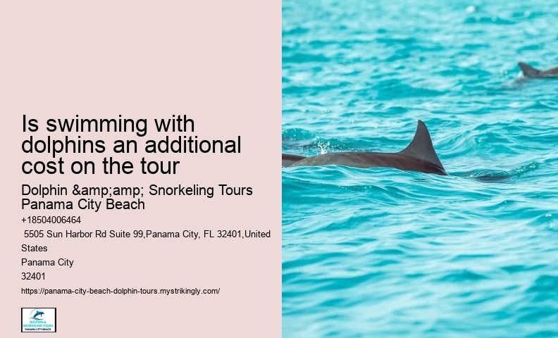 Sea Screamer Dolphin Tours Panama City Beach