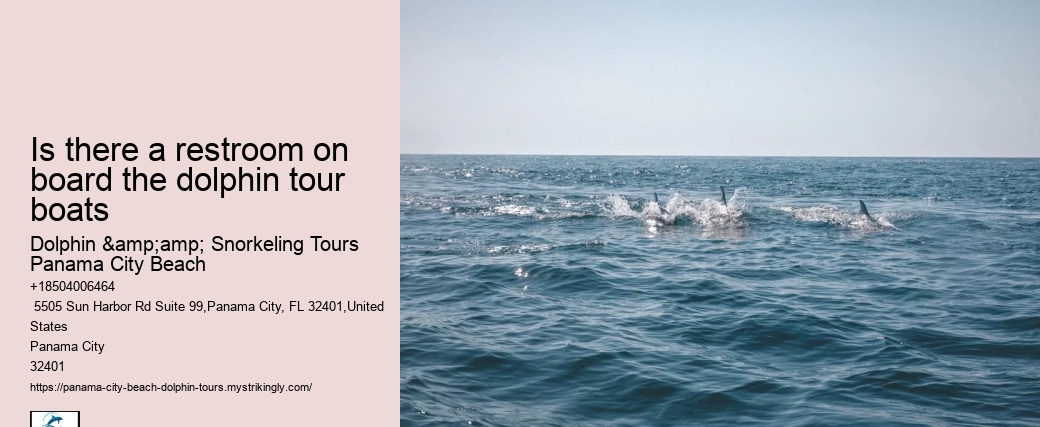 Is there a restroom on board the dolphin tour boats