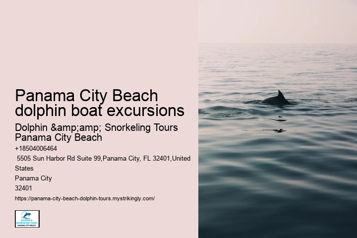 Panama City Beach dolphin boat excursions