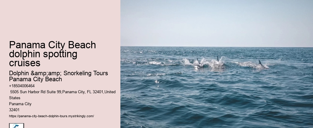 Panama City Beach dolphin spotting cruises