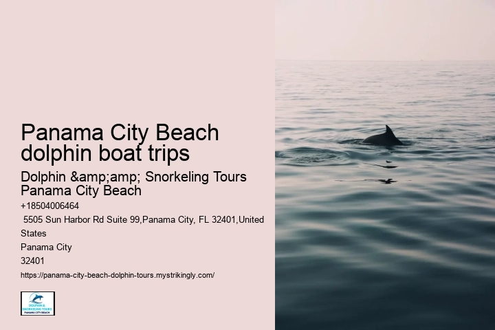 Panama City Beach dolphin boat trips