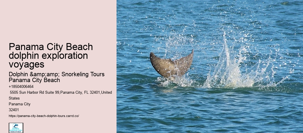 Panama City Beach dolphin exploration voyages