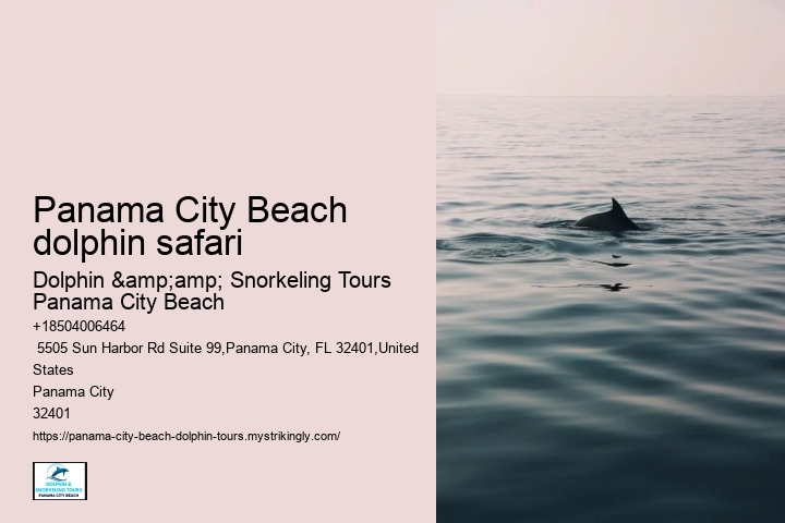 Panama City Beach dolphin safari