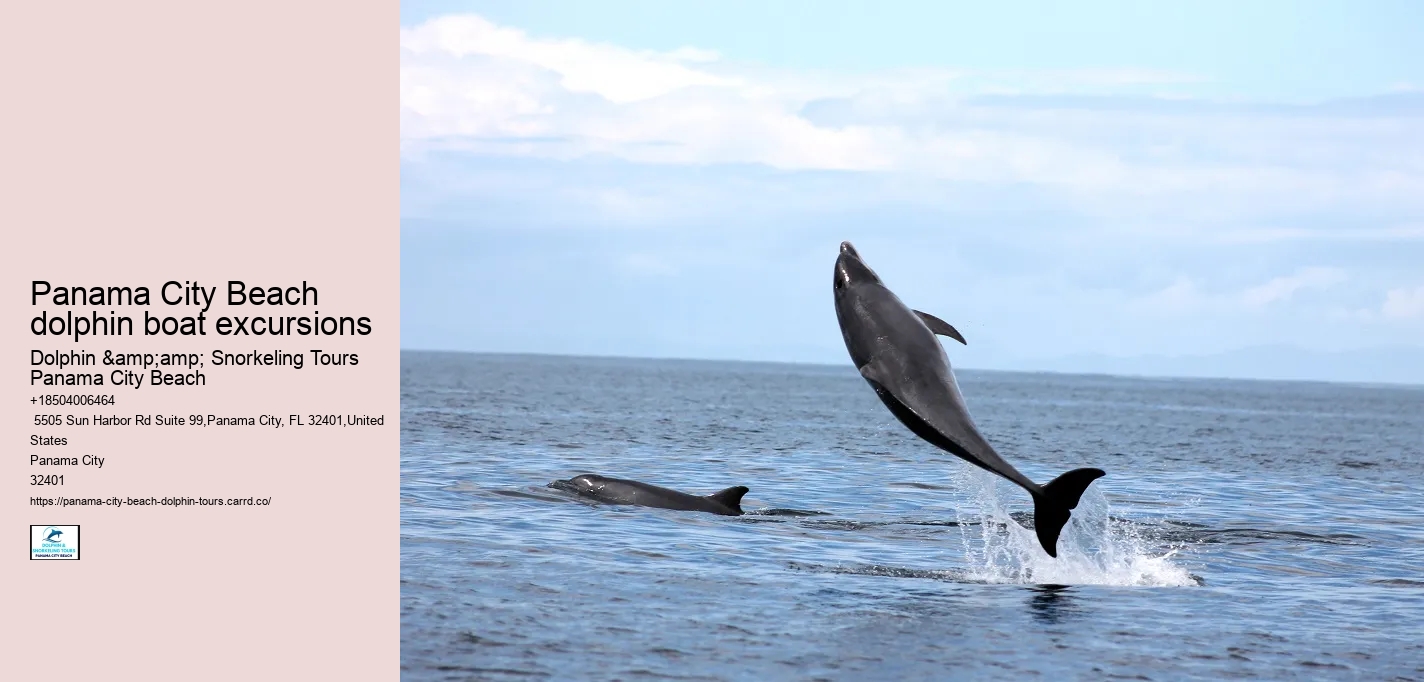 Dolphin And Snorkel Tours Panama City Beach