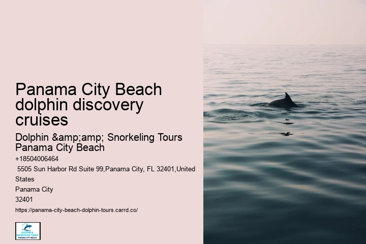 Dolphin discovery voyages in Panama City Beach