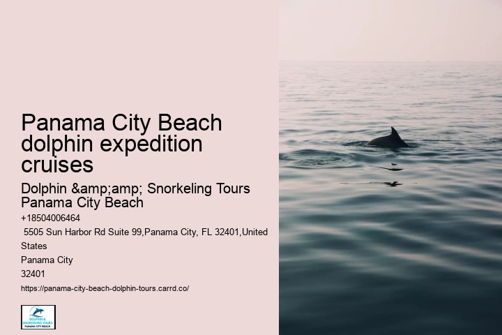 Catamaran Dolphin Tour Panama City Beach