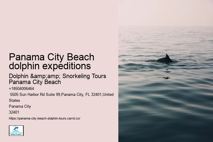 Are there any age restrictions for dolphin tours in Panama City Beach