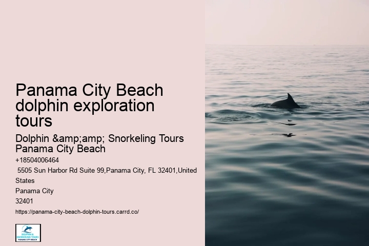 Dolphin Tours In Panama City Florida