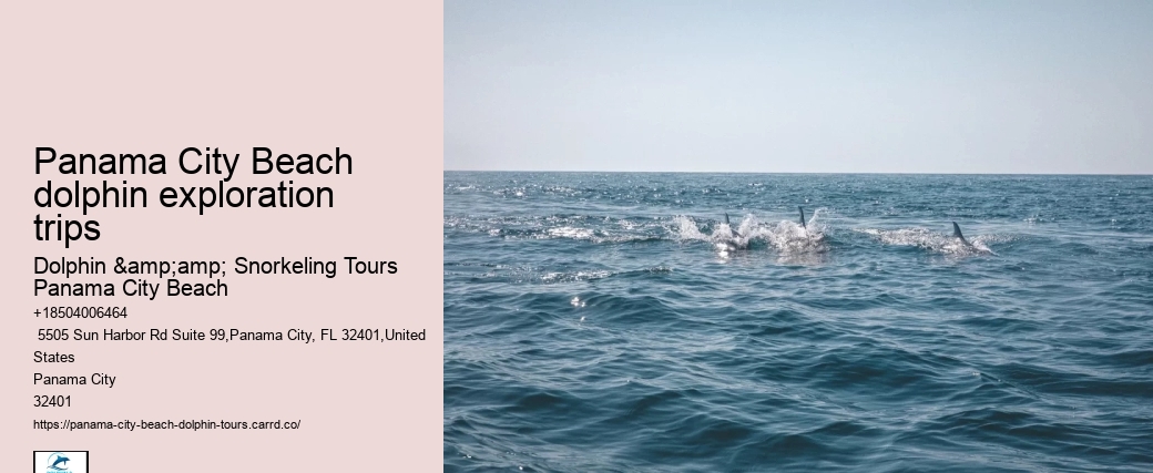 Can You Still Swim With Dolphins In Florida