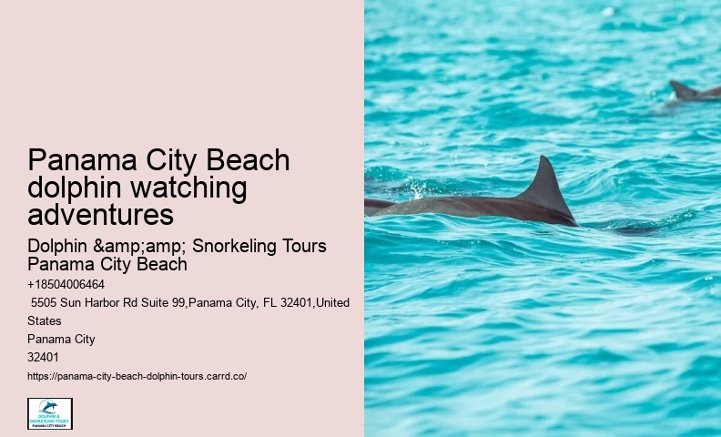 What safety measures are in place during dolphin tours in Panama City Beach