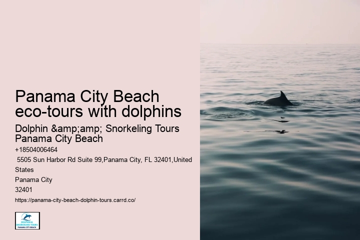 Panama City Beach eco-tours with dolphins