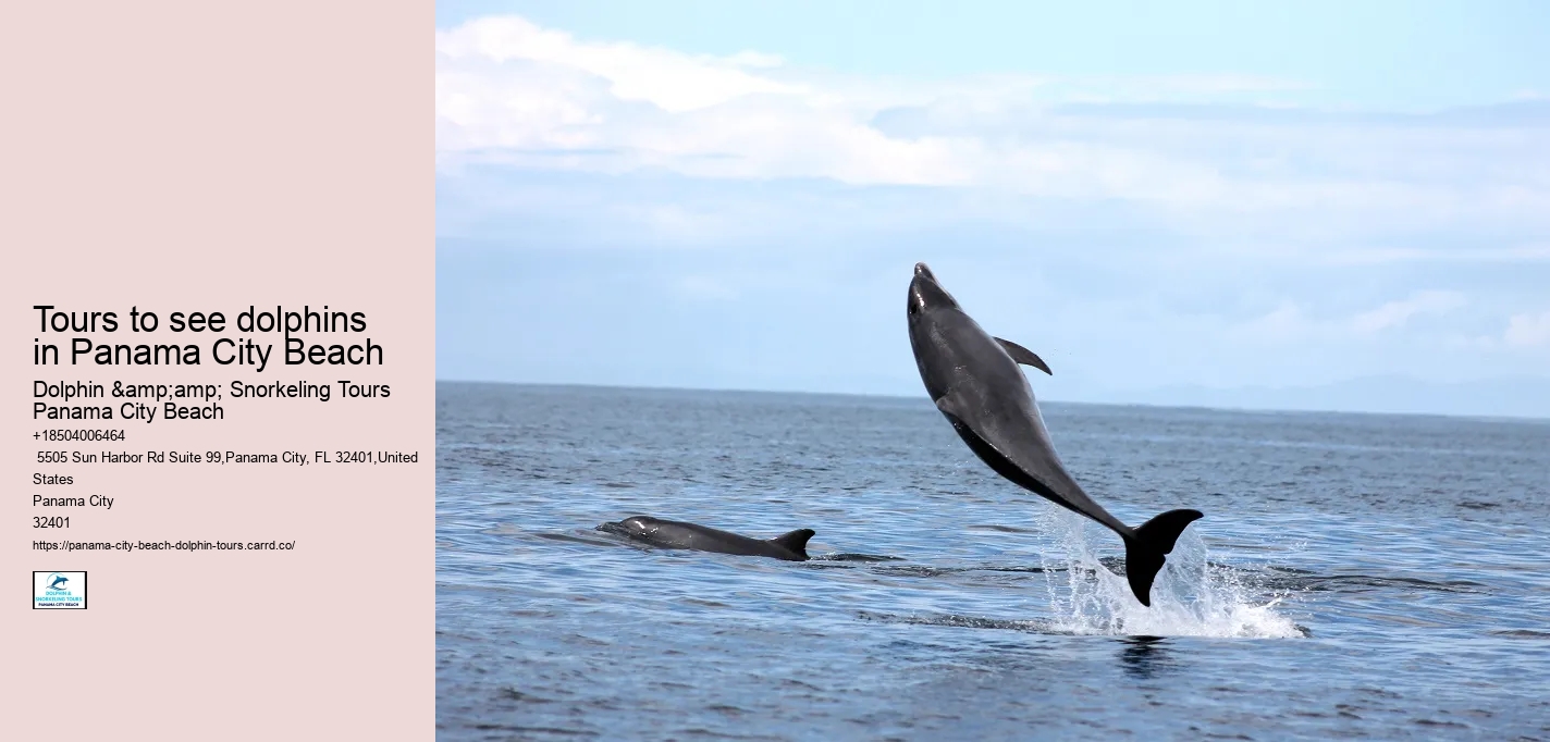 Dolphin & Snorkeling Tours Panama City Beach