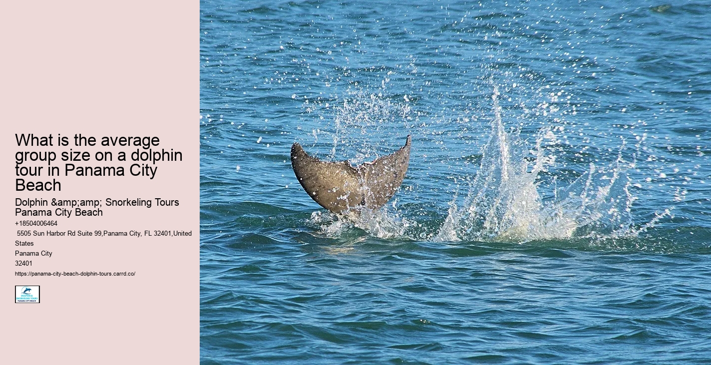 Dolphin & Snorkeling Tours Panama City Beach